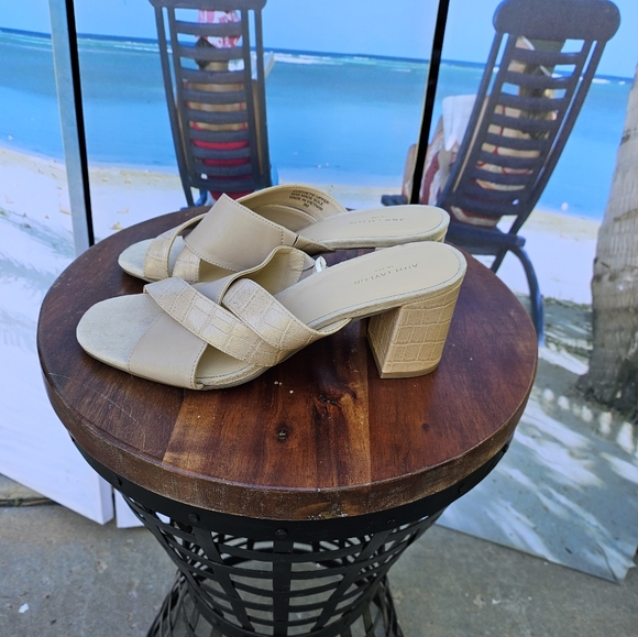 Ann Taylor Women's Block Heels - Picture 9 of 9